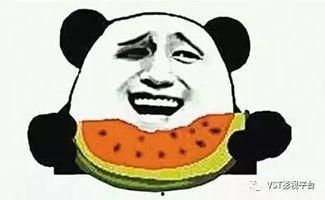 吃瓜群众对战小游戏大全,趣味无限，欢乐无穷！