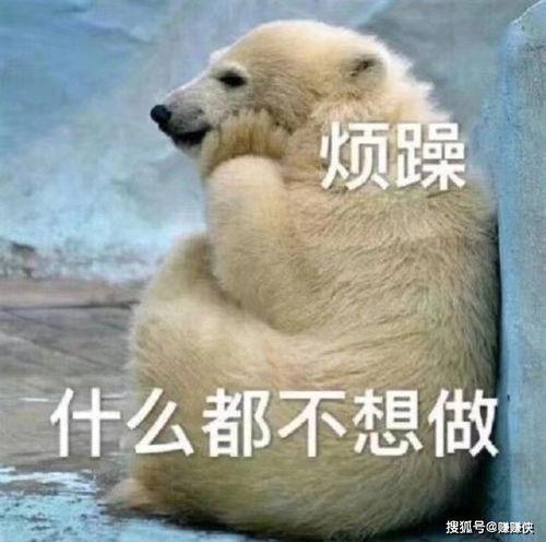 吃瓜群众动物图片高清,高清动物图鉴大揭秘