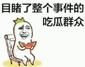 魔仙堡第一吃瓜群众,揭秘第一吃瓜群众的幕后故事
