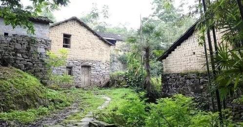 火红年代四合院里吃瓜群众,吃瓜群众的欢乐时光