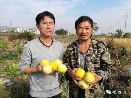 吃瓜群众嫌疑犯,揭秘网络舆论背后的真相