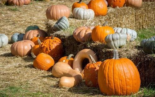 文轩遇到吃瓜群众的物料,现场热闹非凡