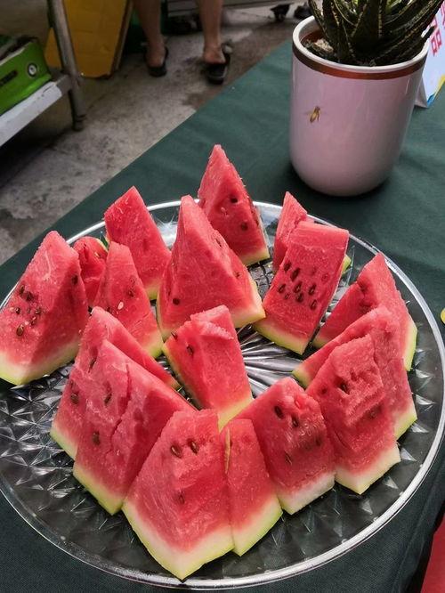 鹿鹿爱奶油吃瓜群众,揭秘吃瓜群众的独特喜好