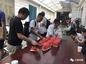 成都吃瓜群众全部被打,吃瓜群众集体遭遇不测