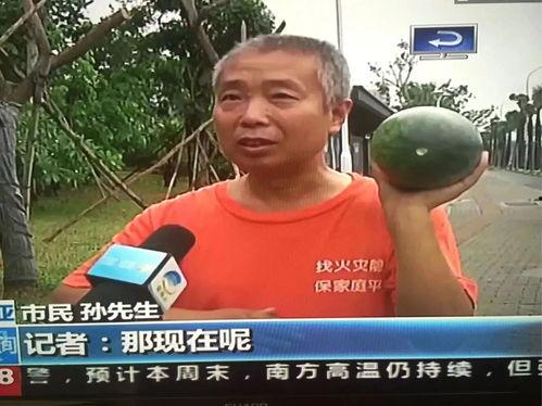 合肥新吃瓜群众事件最新消息,揭秘网络热议背后的真相