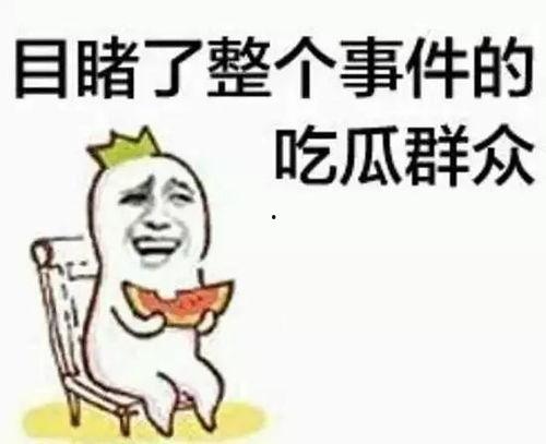 吃瓜群众刘小天微博,揭秘娱乐圈幕后故事