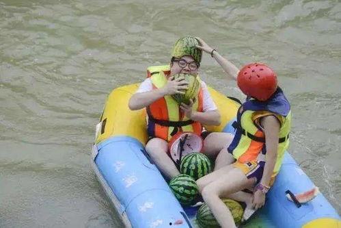 群众吃瓜船,一场全民娱乐盛宴的诞生