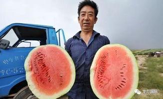 吃瓜群众在线吃瓜图文,吃瓜群众在线共享瓜界盛宴