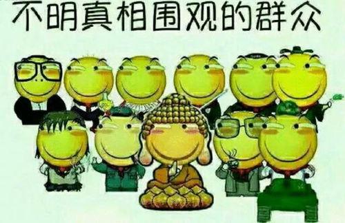 吃瓜群众感悟怎么写简短,观后感集锦