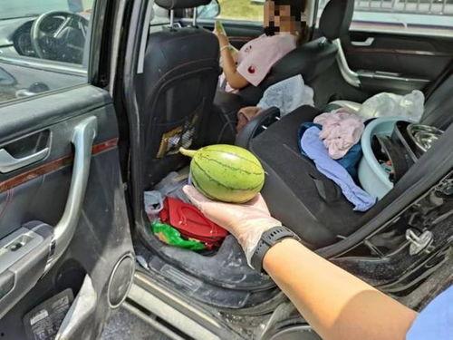 肇事司机 吃瓜群众,一场舆论风暴的较量”